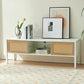Smart FENDEE Rattan Coffee Table with Sliding Door Storage and Metal Leg for Living Room