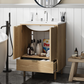 Smuxee Bathroom Vanity with Sink, Freestanding Wood Bathroom Storage Cabinet with Drawer & Doors