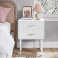 Algherohein Classic Morden Nightstand with 2 Drawers for Bedroom