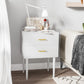 Algherohein Classic Morden Nightstand with 2 Drawers for Bedroom